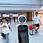 IMG_20250601_095153