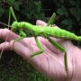 IMG_20250602_072512