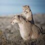 IMG_20250602_072603