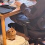 IMG_20250603_063328