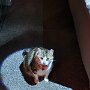 IMG_20250603_063447