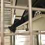 IMG_20250604_070407