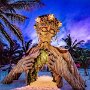 IMG_20250604_070428