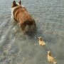 IMG_20250604_070440