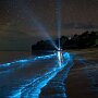 IMG_20250604_070538