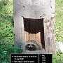 IMG_20250605_070639