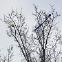 IMG_20250607_090409