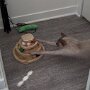 IMG_20250607_090517