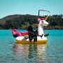 IMG_20250608_054539