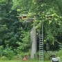 IMG_20250608_054704