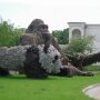 IMG_20250608_054739