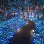 IMG_20250608_054756