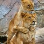 IMG_20250609_093129