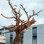 IMG_20250702_070622