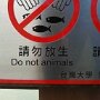 IMG_20250701_065851