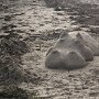 IMG_20250704_065413