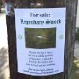 IMG_20250816_085120