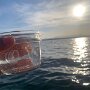 IMG_20250817_074914