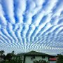 IMG_20250801_070313