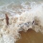 IMG_20250802_100250
