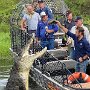 IMG_20250802_100401