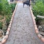 IMG_20250803_080925