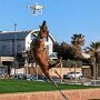 IMG_20250804_070347