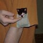 IMG_20250805_070733