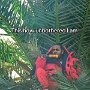 IMG_20250805_071013