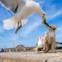 IMG_20250806_065436