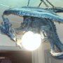 IMG_20250806_065616