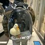 IMG_20250808_065640