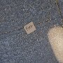 IMG_20250809_075504