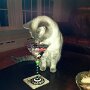 IMG_20250809_075915