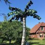 IMG_20250809_075928