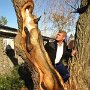IMG_20250810_074249