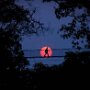 IMG_20250810_074353
