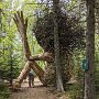 IMG_20250810_074412