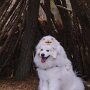 IMG_20250810_074457