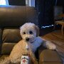 IMG_20250813_063208