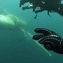 IMG_20250914_073002