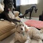 IMG_20250915_063743