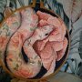 IMG_20250915_063819