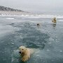 IMG_20250915_063917