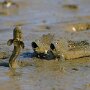 IMG_20250915_063928