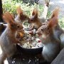 IMG_20250917_063647