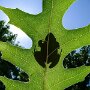 IMG_20250917_063940