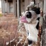 IMG_20250901_063918