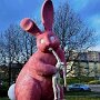 IMG_20250901_064018