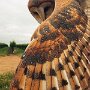 IMG_20250902_064700